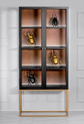 Display case Cabinets Showcases Wardrobe Wood Glass Furniture Design Living room Glass cabinet