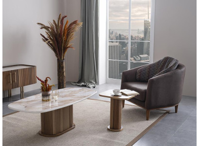 Luxury Coffee table Living room Furniture Side table Luxury Design Furnishings