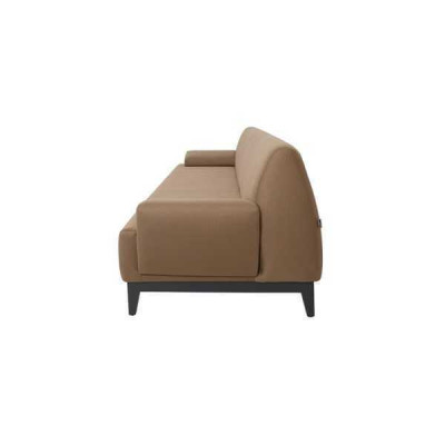 Brown Two-seater Living room Upholstery 2-Seater Modern 2-seater Couch new