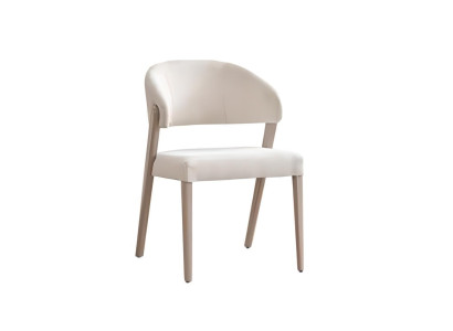 Dining room Chair White Poslterstuhl Designer Dining room Wood Chairs new