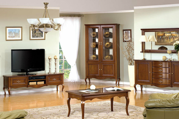 Classic Chairs Chair Dining room chair wooden chair Royal country house style Prato PR-09