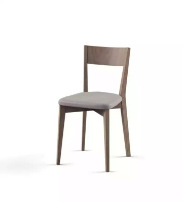 Chair Dining chairs kitchen chair stylish new Chair