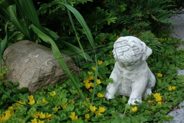 Garden Decoration Dog Patio Stone Figure Figures White Decorative Statue