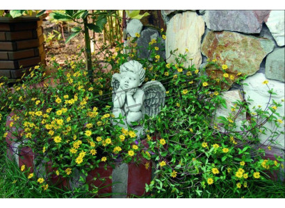 Gravestone Gravestone Decoration Angel Figure Sculpture God Holy