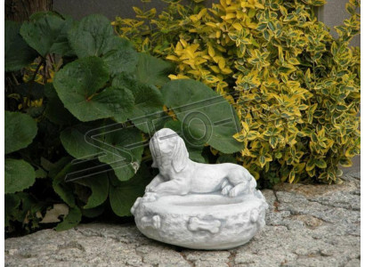 Bowl Bowls Dogs Cats Bowl Pet Food Drinking Stone Design Dog