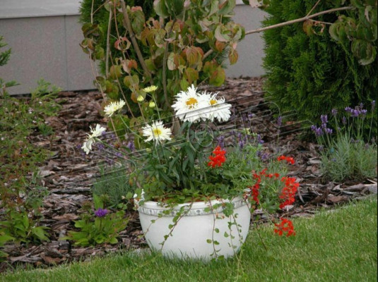 Flower Basket Flowers Vase Vessel Garden Patio Decoration Statue Figures