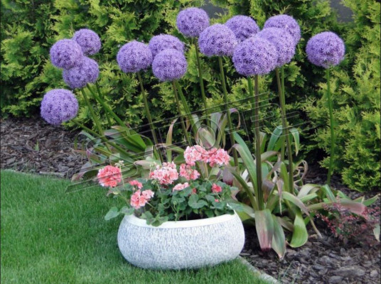 Flower pot natural plant pot decoration garden vases figure flower pots