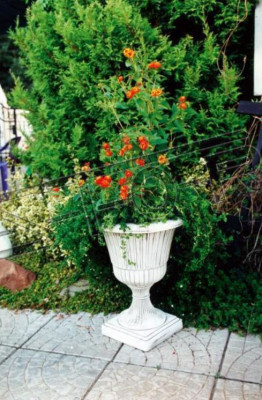 Flower pot plant pot decoration figure flower pots garden vases