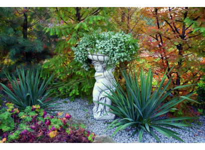 Flower pot plant pot decoration figure garden nature flower pots vases