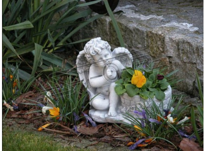 Flower pot plant pot decoration garden flower pots vases nature figure