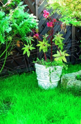 Flower pot plant pot decoration nature figure flower pots vases garden