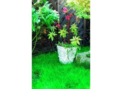 Flower pot plant pot decoration nature figure flower pots vases garden