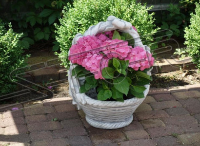 Flower pot plant pot decoration nature garden figure vases flower pots