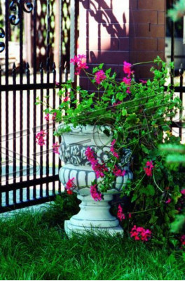 Flower pot plant pot nature decoration figure vases flower pots garden