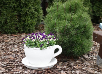 Flower pot plant pot nature decoration vases figure garden flower pots