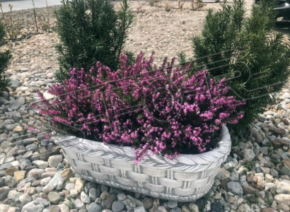 Flower pot planting natural pot decoration garden vases flower pots figure