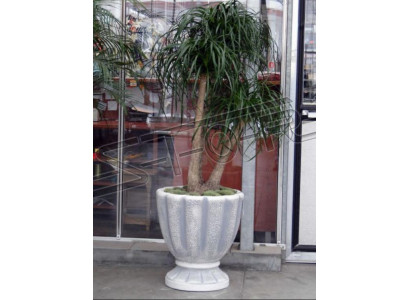 Flower pots box pot flowers decorative pots XXL concrete garden terrace