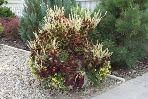 Flower pots box pot flowers pots XXL garden decorative concrete terrace