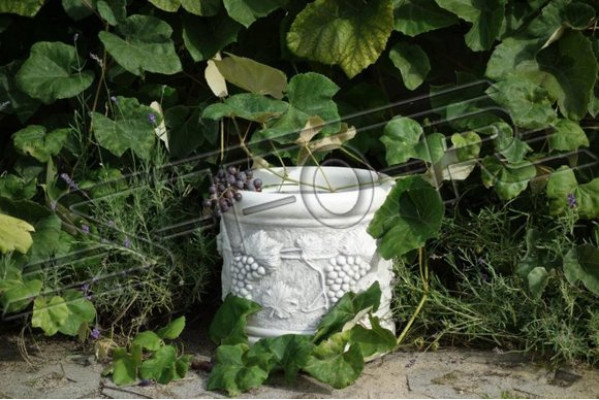 Flower vase flowers box garden stone decoration decoration antique style flowers