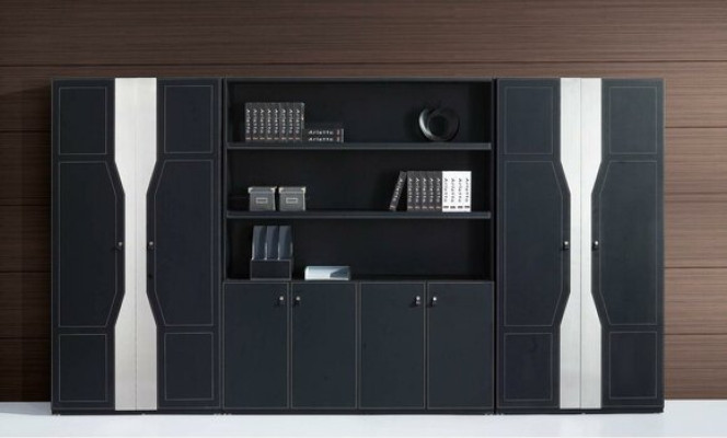 Books Files Wardrobe Shelf Wall Law Firm Practice Company Decor Office Furniture