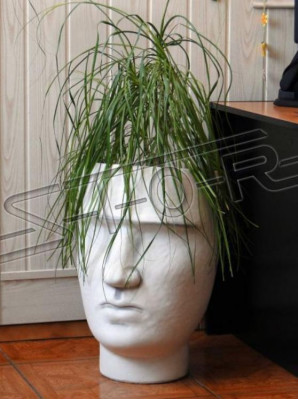 Design flower pot top plant pot decorative vessel figure pots face sculpture