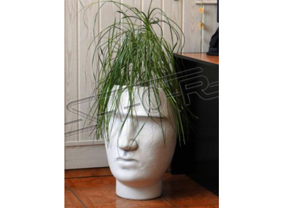 Design flower pot top plant pot decorative vessel figure pots face sculpture