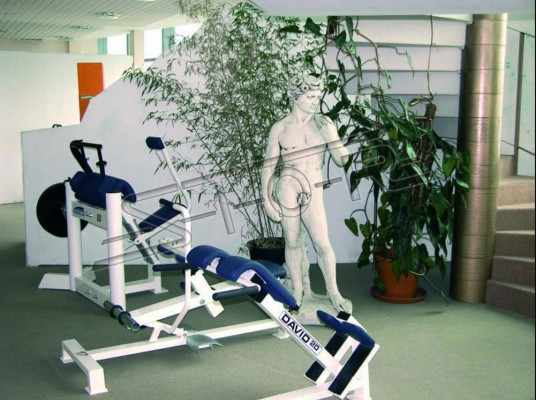 Adam 170cm Sculpture Design Figure Statue Garden Figures Statues