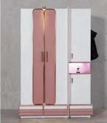 Wardrobe Wardrobe Bedroom Cabinets Two Tone Youth Clothes cabinets