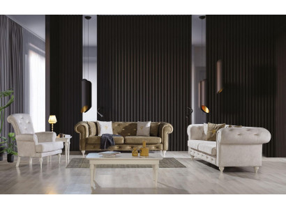 Stylish living room sofa set Dreistzer 2-Seater luxury armchair couch