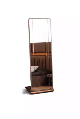 Floor Mirror Dressing Mirror Design Gold Full Length Mirror