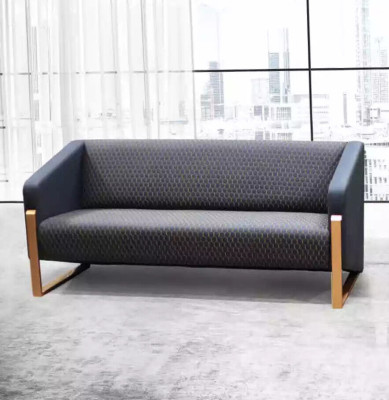 Sofa 2 Seater Luxury Furniture Couch Modern Designer Study Office Furniture