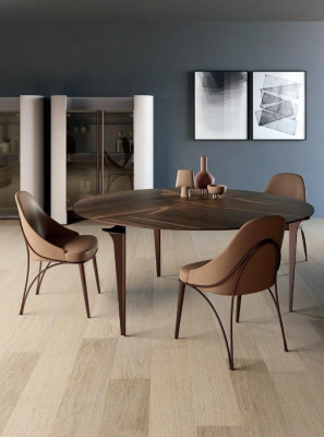 Chair Dining room chair Fabric Dining room Chairs Design stainless steel Brown Bizzotto new