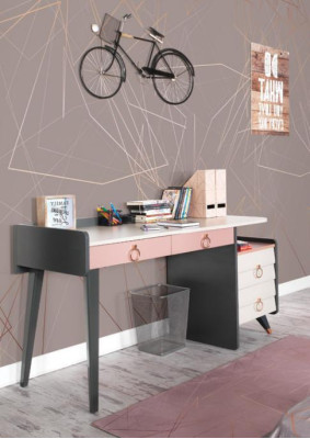 Secretarial Desk Design Luxurious Writing Furniture Wooden Desks