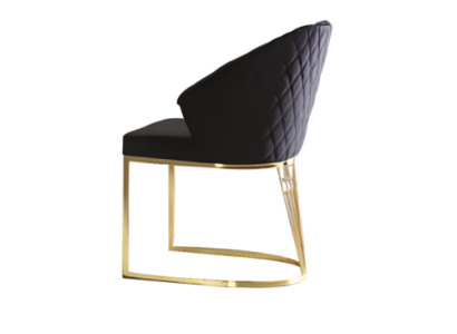 Dining chairs Upholstered chairs Kitchen chairs Wooden chairs set 4 pieces Black