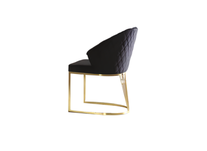 Upholstered chair Dining room chair Wooden chair Kitchen chair Black Modern Gold