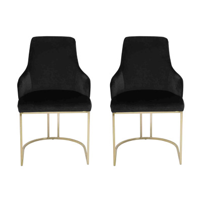 Black stainless steel Chairs 2x Dining chairs Luxury Seat Furniture Set of 2