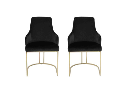 Black stainless steel Chairs 2x Dining chairs Luxury Seat Furniture Set of 2