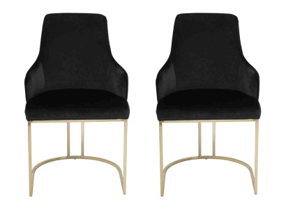 Black stainless steel Chairs 2x Dining chairs Luxury Seat Furniture Set of 2