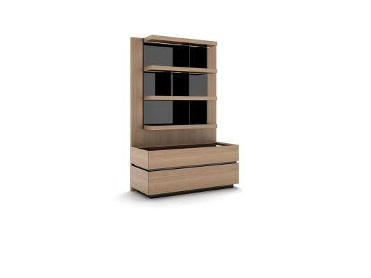 Wooden furniture Living room Luxury Wall unit Modern Design Furnishings new
