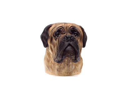 Decorative figure statue sculpture 35 cm figures statues sculptures bull dog bust A182