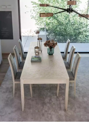 Chair Group Suite Table 6x Chairs Dining room Design Wood Dining set 7pcs