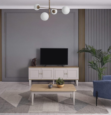 Suite Living room TV Stand Coffee table Wood Gray TV cabinet Lowboard Set