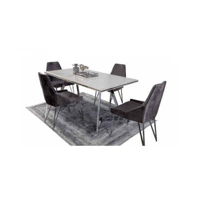 Complete Set Dining table 4x Chairs Dining room Set Ess Group Metal Table new