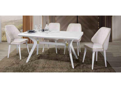 EsGroups Set Luxury White 4x Chairs stainless steel Furniture Wooden furniture