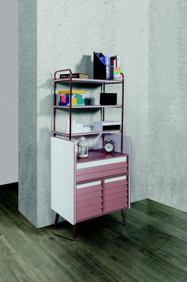 Bookcase Multipurpose Youth Room Wardrobe Wood Furniture Shelves