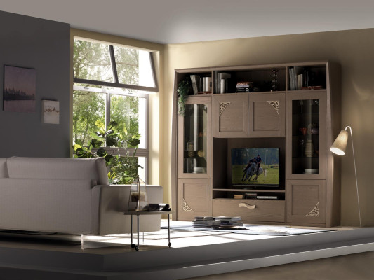 Wall unit Wardrobe Display case Wood Living room Furniture tv wall units design showcases