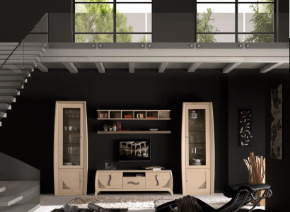 Wall units set Display case TV Chest of drawers Wall shelves Chests of drawers Wardrobe Wood Furniture 5 pcs.