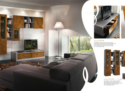 Wall unit TV-cabinet Wall cabinet Shelf Living room tv Wood Cabinets Display case Wall shelves