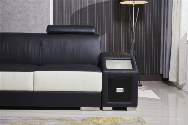 Leather Modern Couch Living landscape Leather sofa Sofa set Furniture Sofa