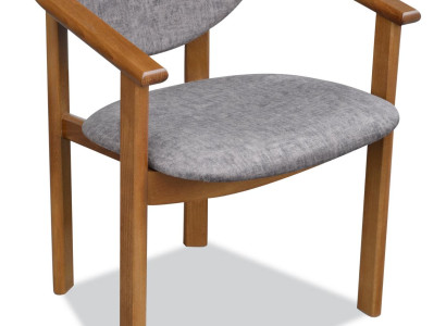Chair Upholstery Chair Designer Chair Dining room Armchair Luxury Furniture new
